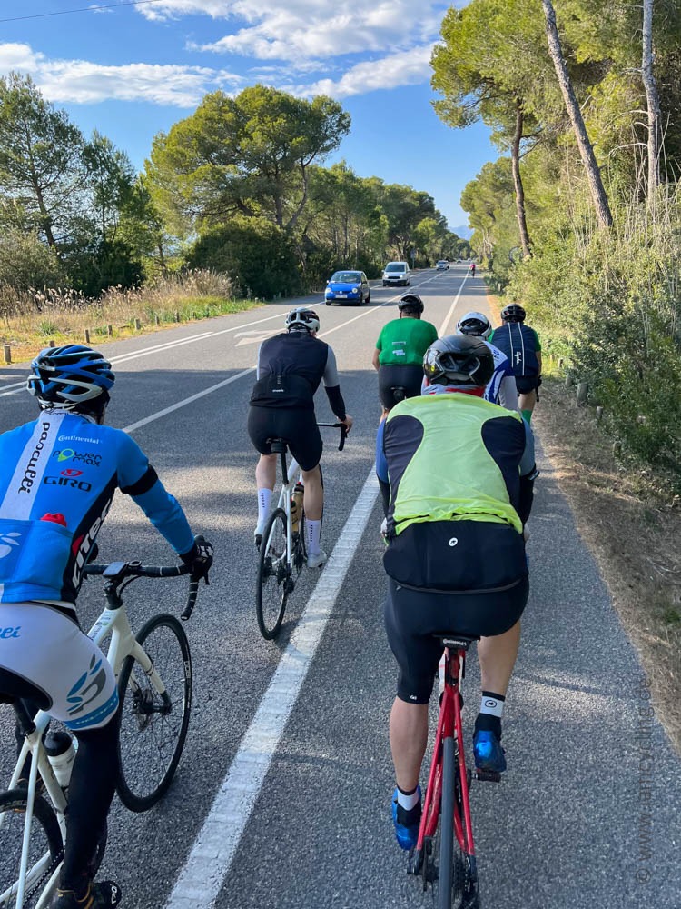 SpeedVille Trainingscamp Mallorca 2023 - Letztes Stück durch den Pinienwald