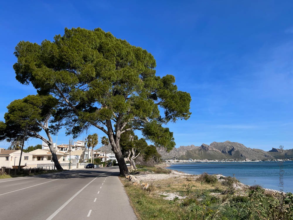 SpeedVille Trainingscamp Mallorca 2023 - Die letzte Tour