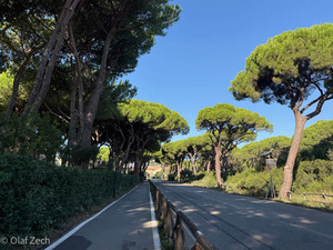 BikePacking durch die Toskana