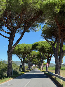 BikePacking durch die Toskana