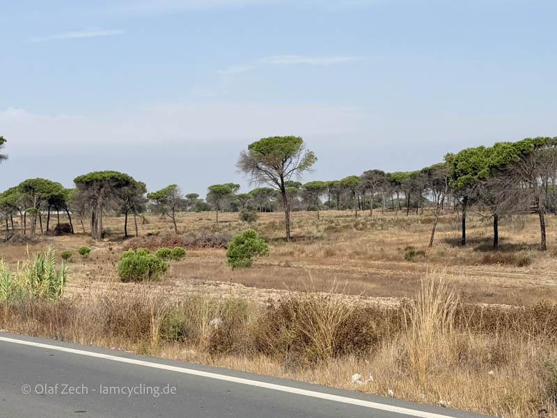 BikePacking Ruta Suroeste - iamcycling.de